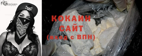 ГАЛЛЮЦИНОГЕННЫЕ ГРИБЫ Абаза