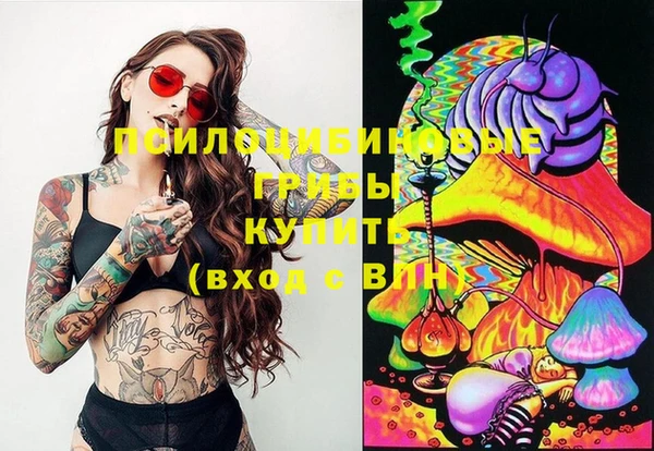 молекула духа Алзамай
