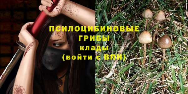 молекула духа Алзамай