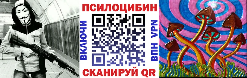 blacksprut рабочий сайт  Донской  Псилоцибиновые грибы GOLDEN TEACHER  как найти наркотики 