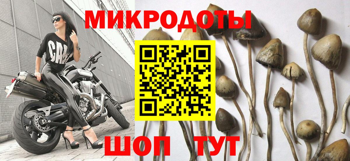 Донской  Псилоцибиновые грибы мухоморы  Псилоцибиновые грибы MAGIC MUSHROOMS  Вход с VPN 